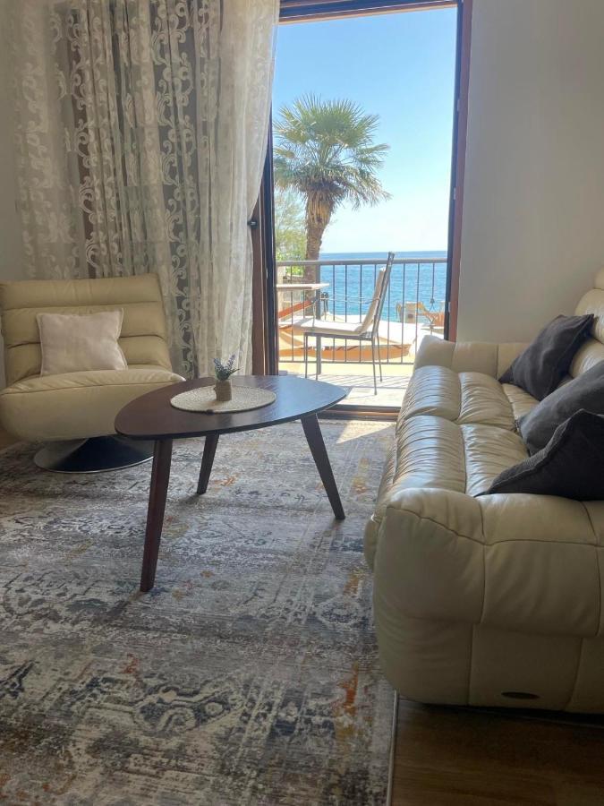 شقة Reina Petrovac المظهر الخارجي الصورة